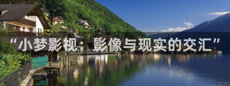 人人影视免费追剧