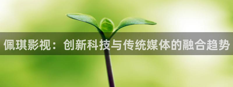 人人影院app下载