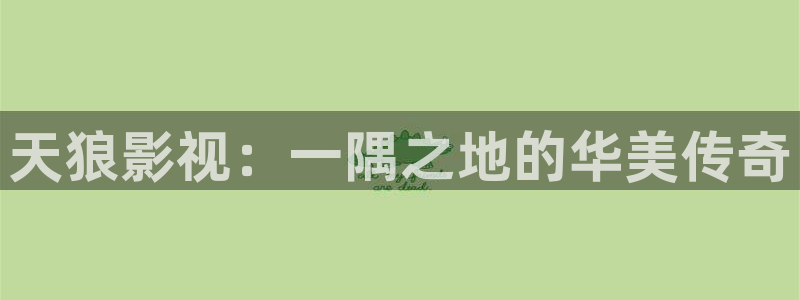 人人影音电脑版