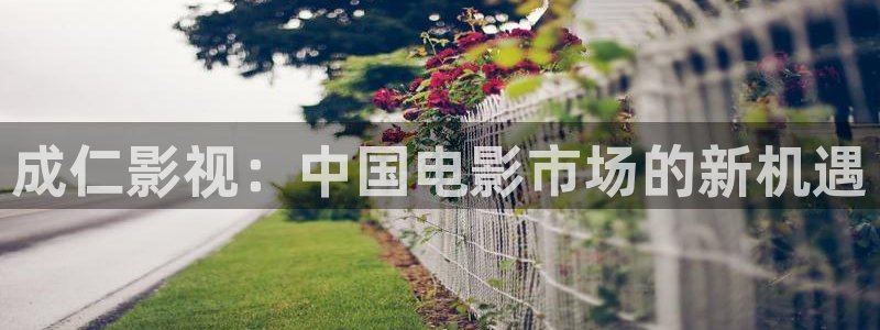 人人影视下载