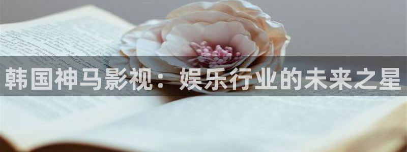 人人影音电脑版