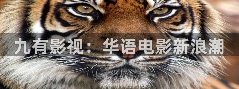 人人影视在线观看