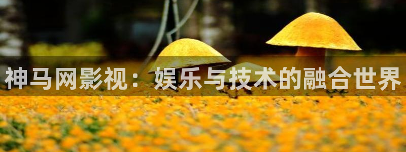 人人影院.