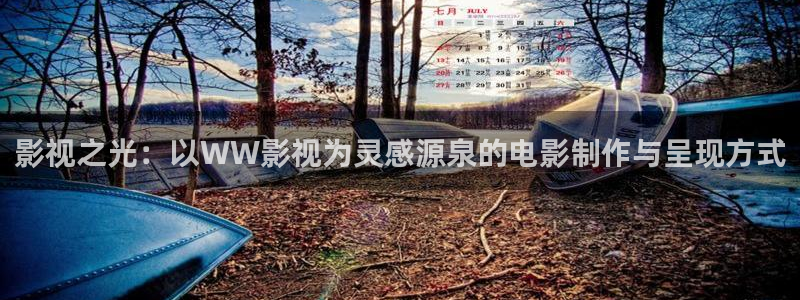 人人影院电视剧：影视之光：以WW影视为灵感源泉的电影制作与呈现方式