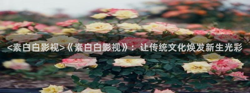 caowo人人影院：<素白白影视>《素白白影视》：让传统文化焕发新生光彩