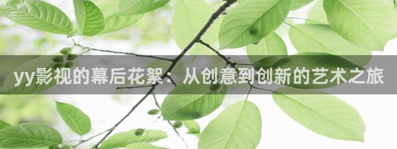 人人影院在线看：yy影视的幕后花絮：从创意到创新的艺术之旅