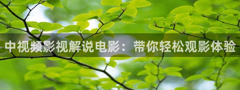 人人影巴：中视频影视解说电影：带你轻松观影体验
