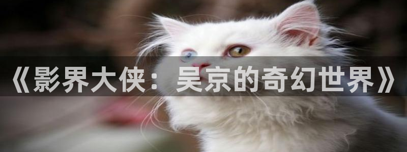 人人影视app免费观看：《影界大侠：吴京的奇幻世界》