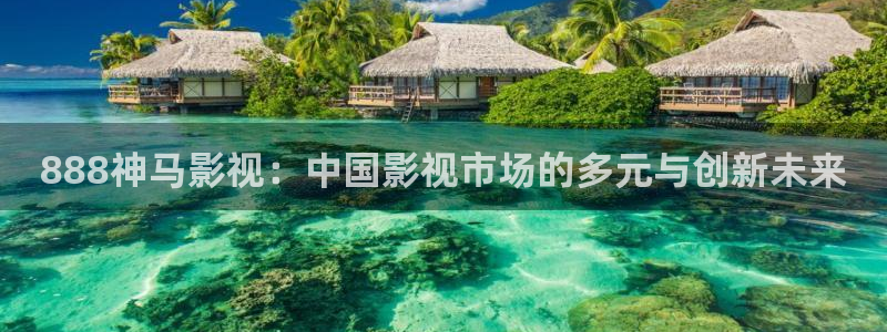 人人视频电脑版：888神马影视：中国影视市场的多元与创新未来