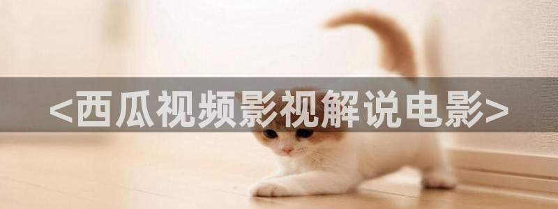 人人影院伦理：<西瓜视频影视解说电影>