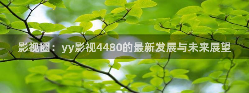 人人视频官方：影视圈：yy影视4480的最新发展与未来展望