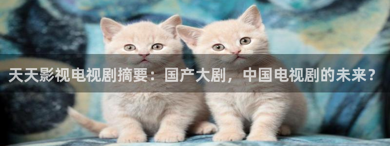 人人视频app：天天影视电视剧摘要：国产大剧，中国电视剧的未来？