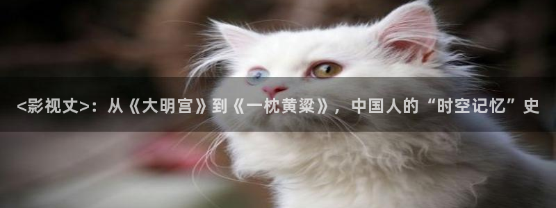 人人视频电视端：<影视丈>：从《大明宫》到《一枕黄粱》，中国人的“时空记忆”史