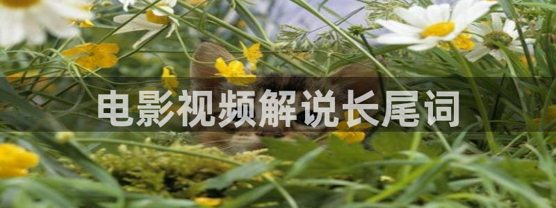 人人影视下载官方