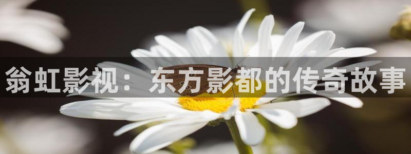 人人影院电影大全：翁虹影视：东方影都的传奇故事