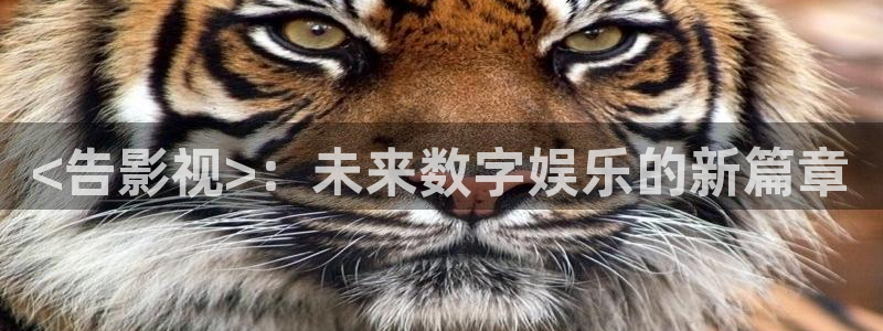 人人影视：<告影视>：未来数字娱乐的新篇章