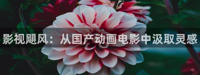 人人影院伦理：影视飓风：从国产动画电影中汲取灵感