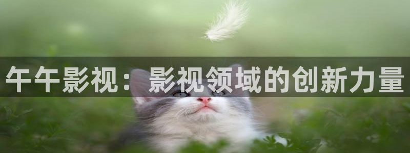 色人人影院：午午影视：影视领域的创新力量