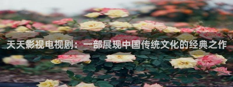 www.人人影院：天天影视电视剧：一部展现中国传统文化的经典之作