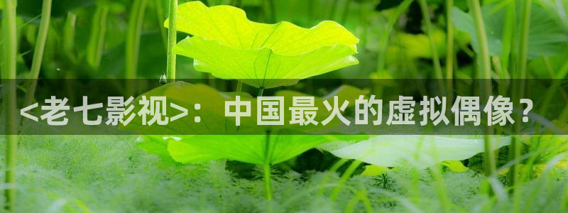 人人影院.