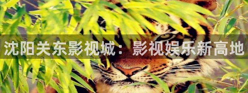 人人影视在线电视剧