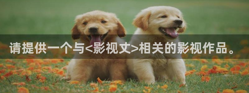 人人影视app免费观看