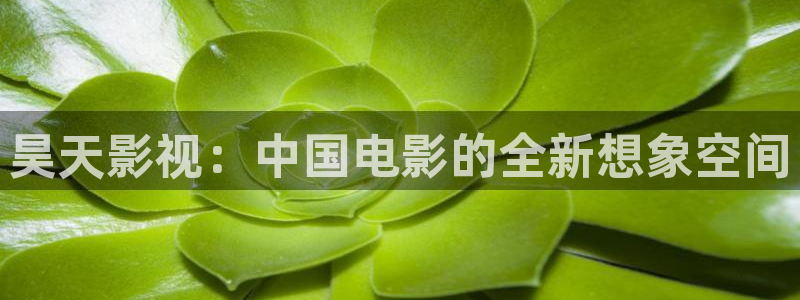 人人影音
