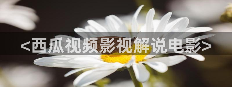 人人影院播放器