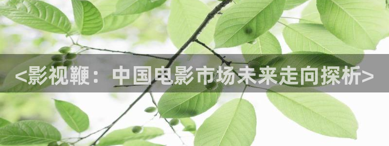 人人影院电影免费观看