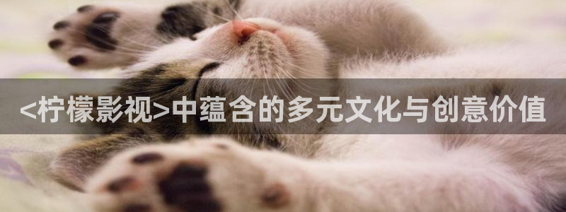 人人影视下载
