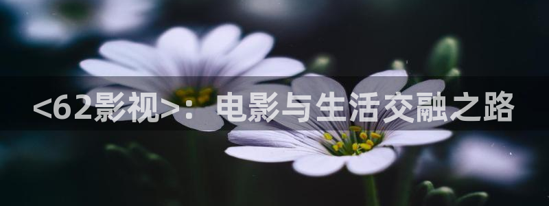 私人人影院