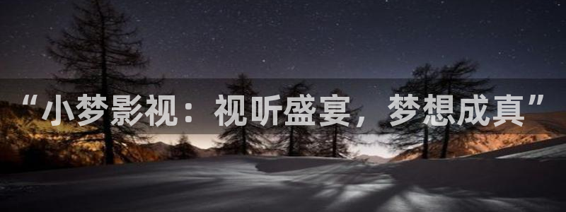 人人视频电脑版