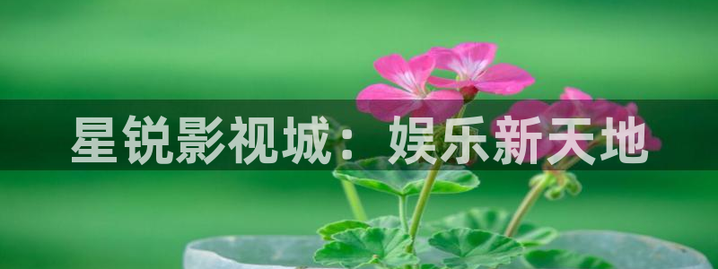 人人影巴