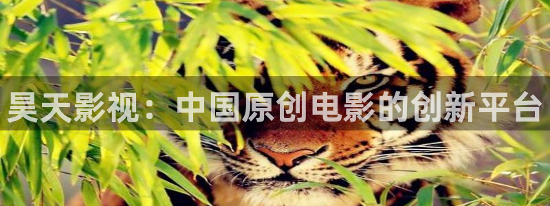 人人影视首页