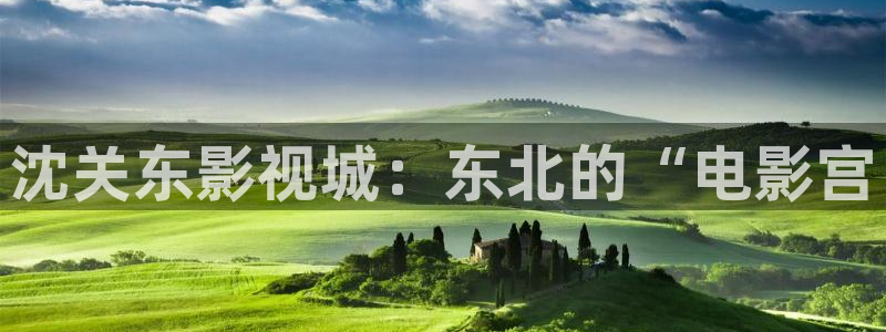 人人视频下载