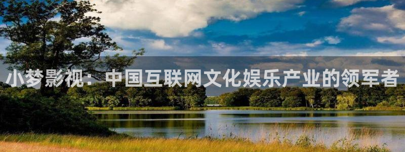 人人视频电视端