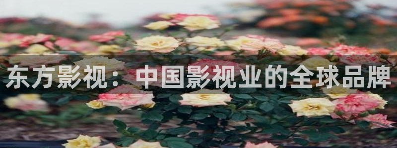 人人影视下载安装