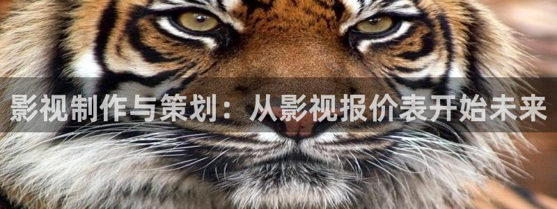 人人影巴