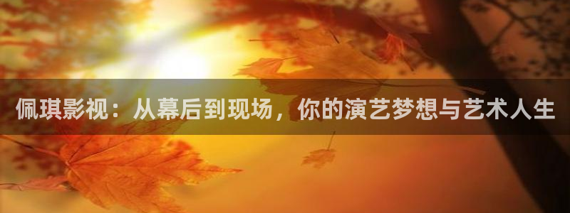 以爱为营人人影院